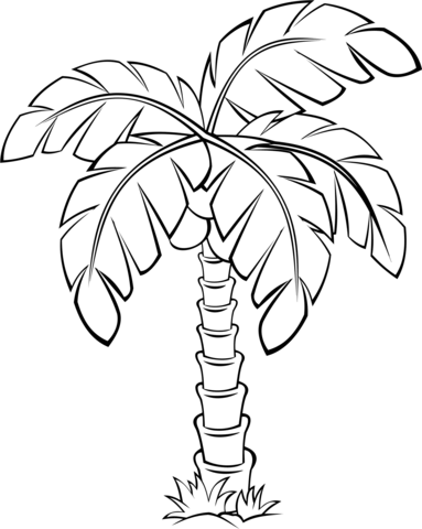 Palm Tree Outline Coloring Page